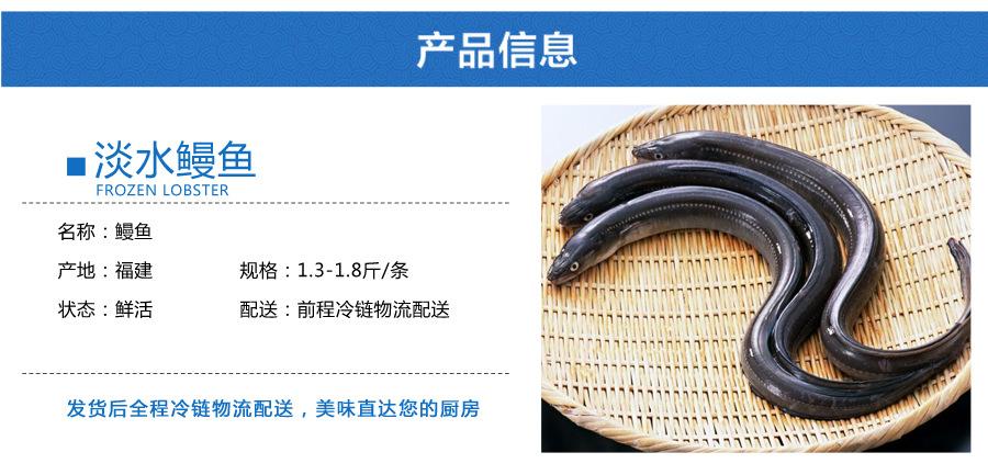 北京连兴盛发水产品商行 供应信息 鱼类 销售鲜活水产品淡水鱼 福建